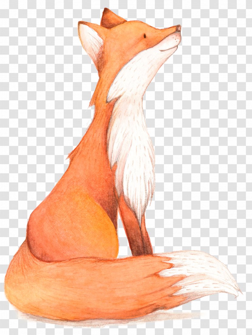 Fox Birthday Illustration - Mammal - Cartoon Transparent PNG