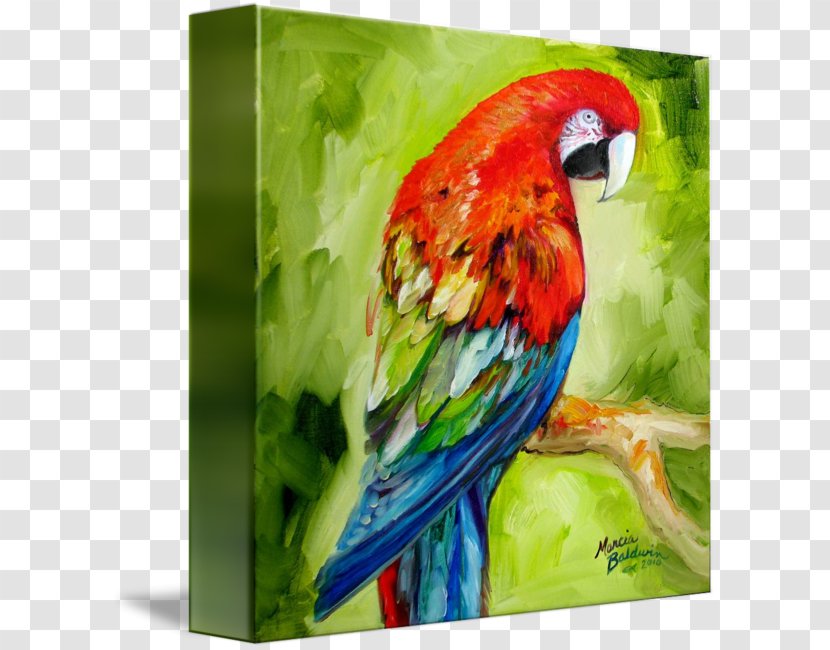 Macaw Watercolor Painting Parrot Canvas - Abstract Art Transparent PNG