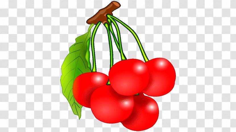 Fruit Food Cherry Vegetable - Pinkcherry Canada Transparent PNG