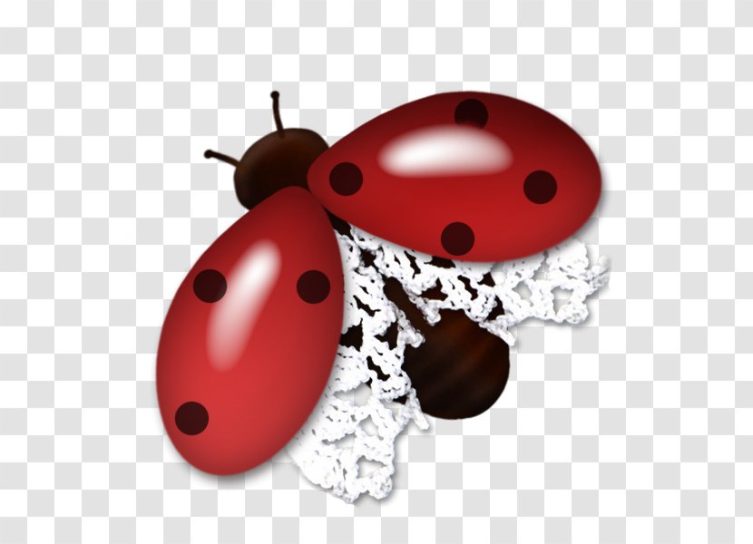 Beetle Coccinella Red - Pretty Ladybug Transparent PNG