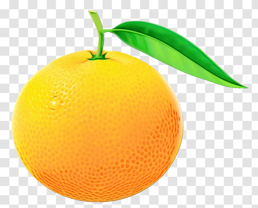 Orange Transparent PNG