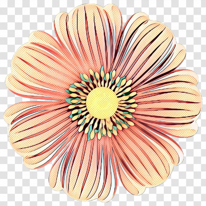 Flowers Background - Pink - Barberton Daisy Plant Transparent PNG