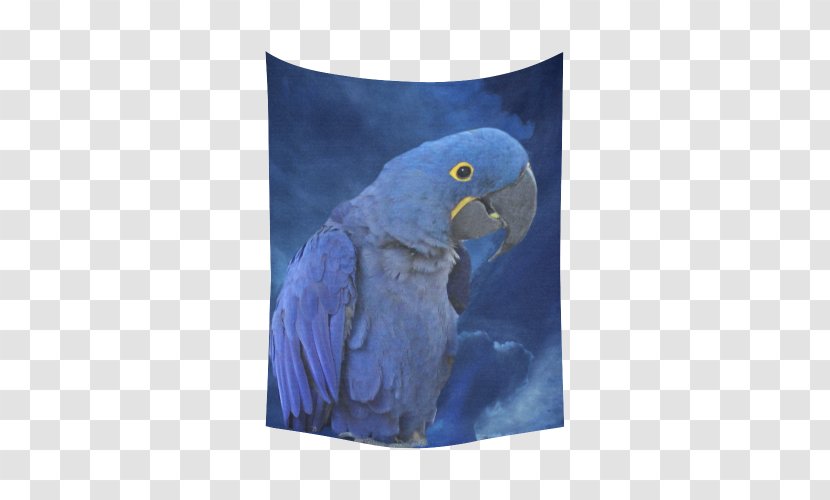 Macaw Parrot Cobalt Blue Beak - Hyacinth Transparent PNG