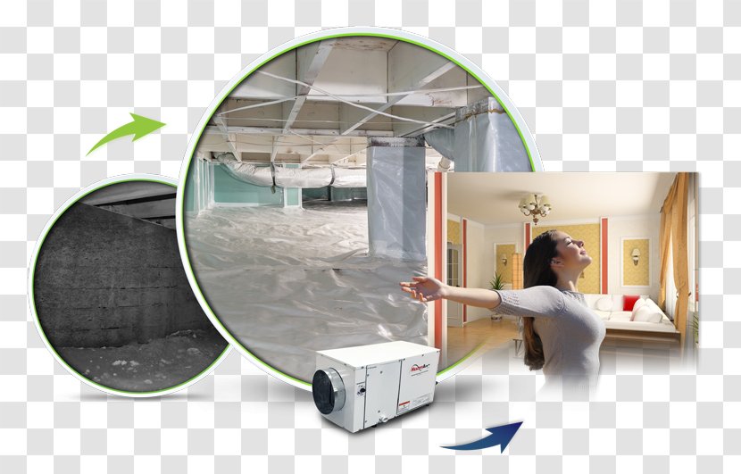 DinoDry Waterproofing Dehumidifier Vapor Barrier Water Damage Sump Pump - Encapsulation Transparent PNG