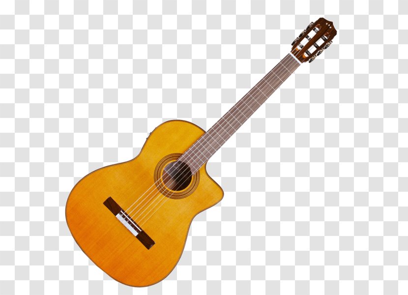 Classical Guitar Ibanez Musical Instruments Acoustic - Flower Transparent PNG