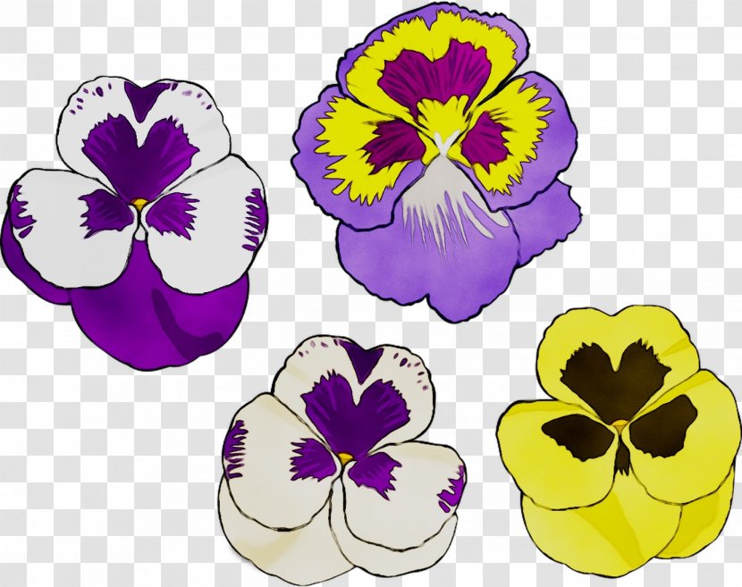 Pansy Herbaceous Plant Plants - Flowering - Yellow Transparent PNG