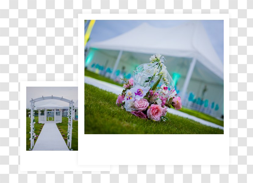 Градински комплекс Garden Weddings Floral Design Plovdiv Party - Flower Arranging - Wedding Transparent PNG