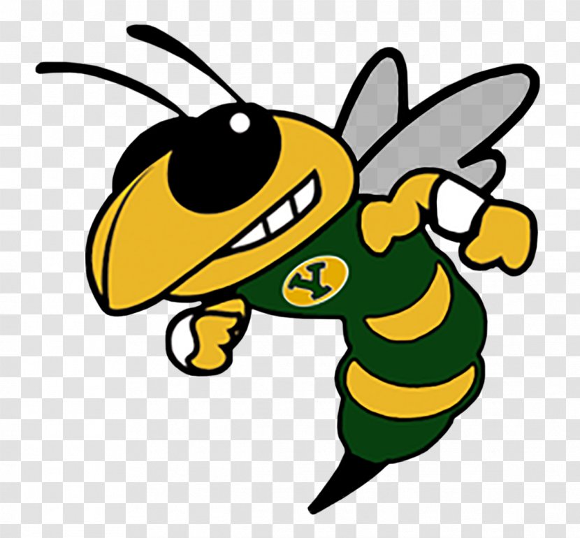 Hinsdale South High School Charlotte Hornets Basketball Sport Football - National Secondary - Hornet Transparent PNG