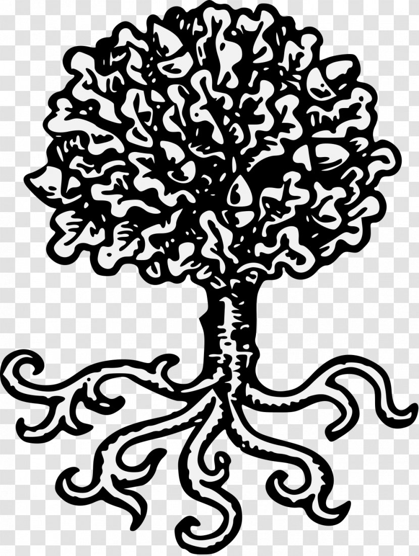 Medieval Heraldry Oak Charge - Woody Plant Transparent PNG