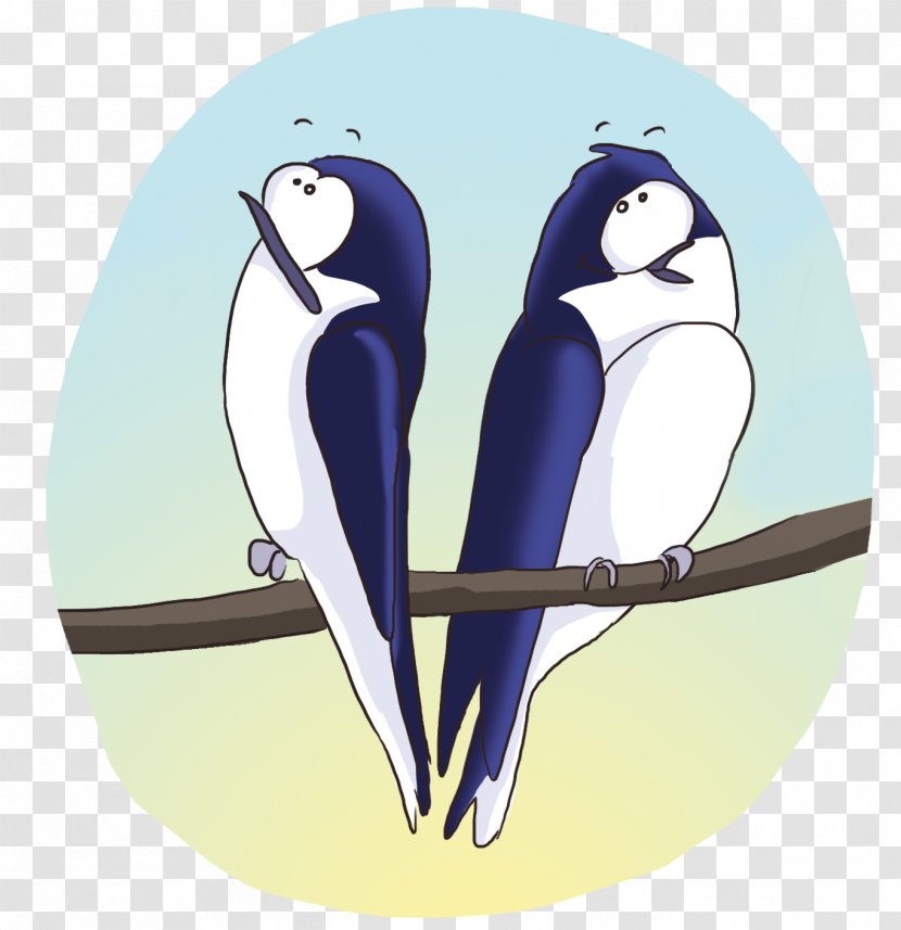 Penguin Beak Cartoon Macaw Transparent PNG