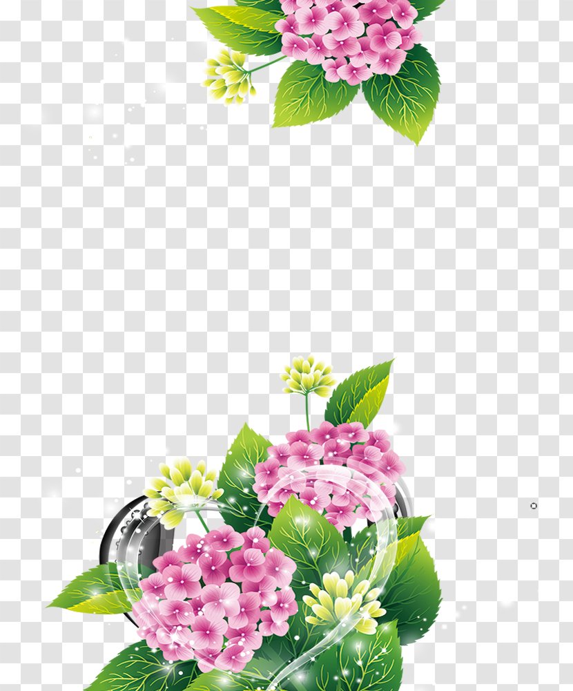 Poster Floral Design - Beautiful Background Transparent PNG