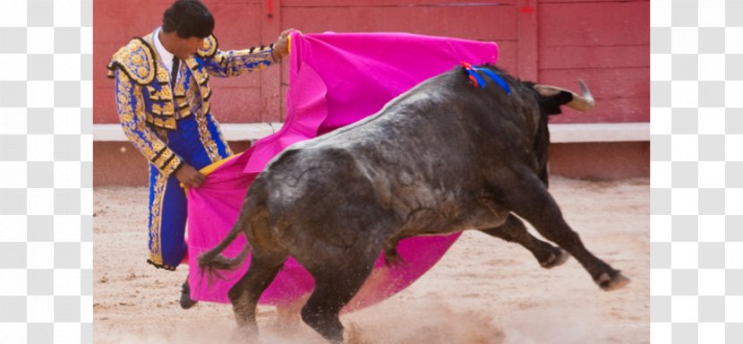 Spanish-style Bullfighting Bullfighter Maestranza - Spanishstyle Transparent PNG