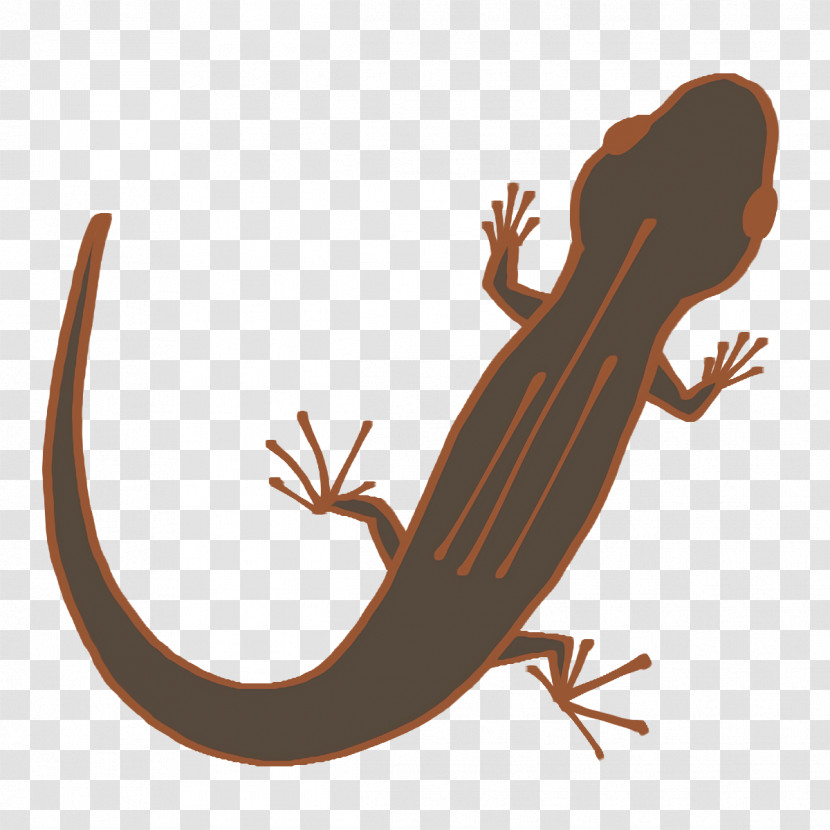 Gecko Amphibians Lizard Tail Biology Transparent PNG