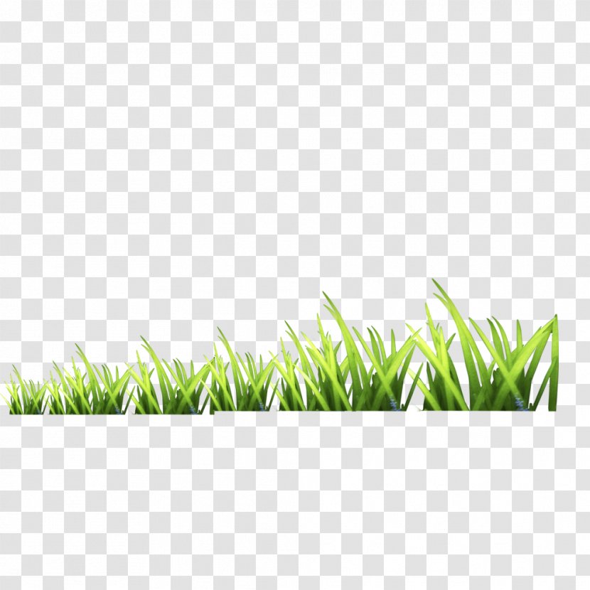 Gratis Download Icon - Rectangle - Grass Transparent PNG