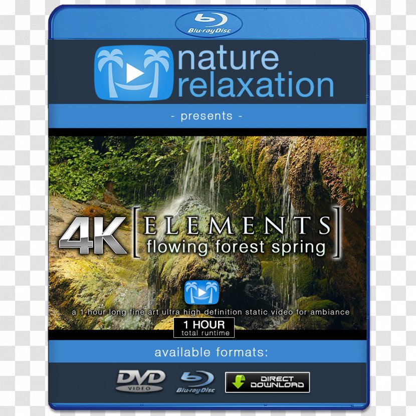 Blu-ray Disc 4K Resolution 1080p High-definition Television Display - Cartoon - Flower Transparent PNG