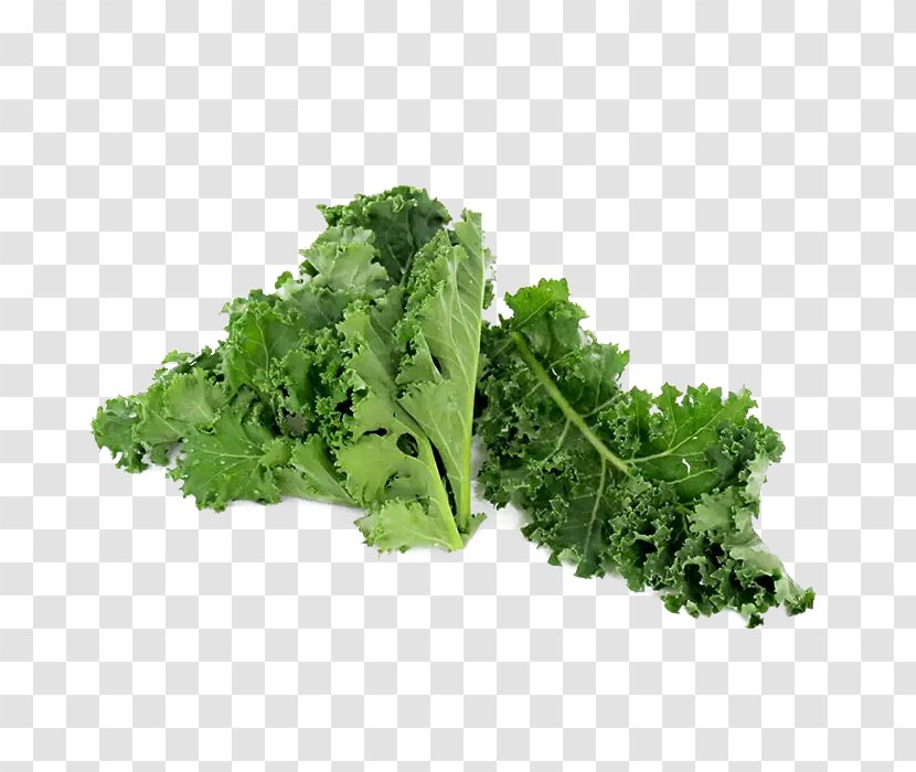 Kale Romaine Lettuce Broccoli Vegetable Vegetarian Cuisine - Spring Greens Transparent PNG