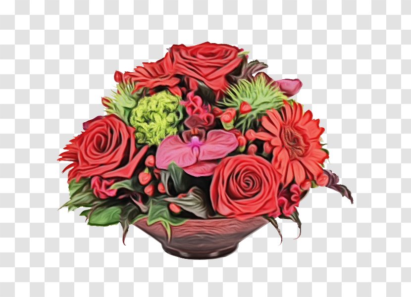 Garden Roses - Red - Rose Family Pink Transparent PNG