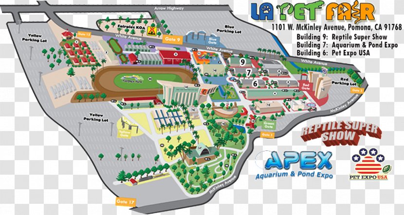 Fairplex Drive L.A. County Fair Auto Club Raceway At Pomona Reptile Super Show - Laço Transparent PNG