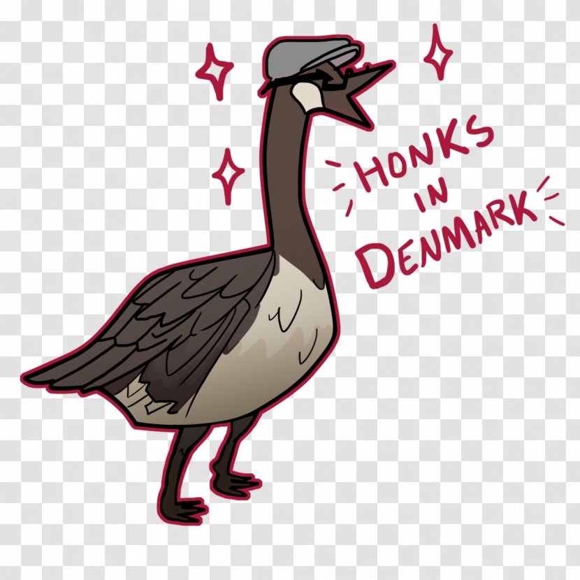 Goose Duck Seabird Fauna Illustration - Animated Cartoon Transparent PNG