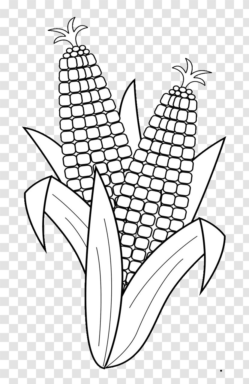 Candy Corn On The Cob Popcorn Coloring Book Maize - Thanksgiving - Black And White Vegetable Transparent PNG