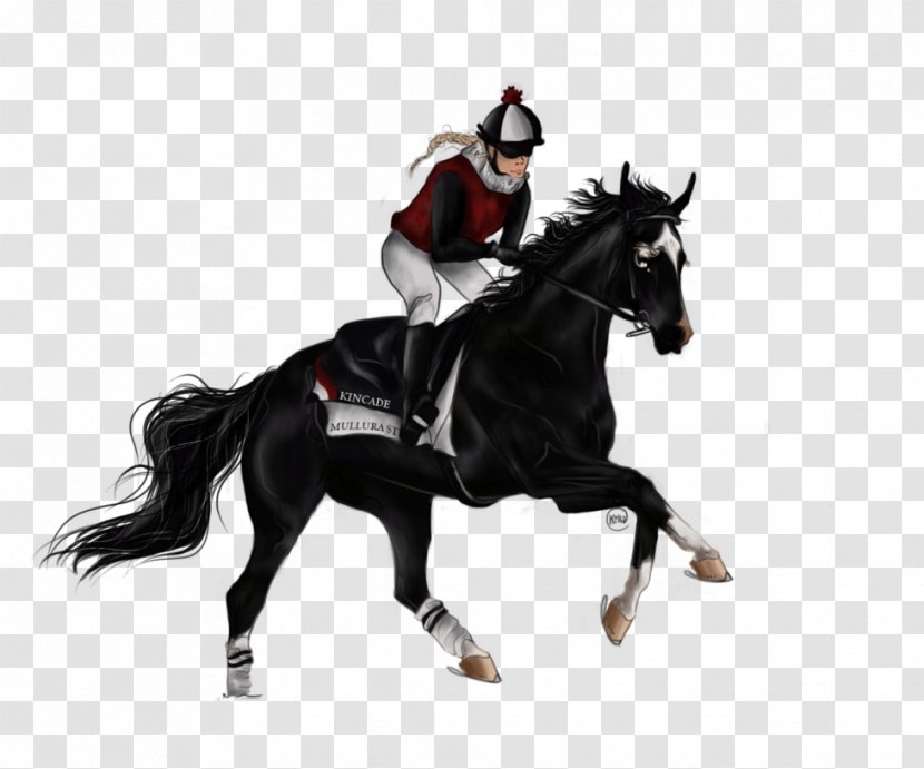 Stallion English Riding Rein Mustang Equestrian Transparent PNG