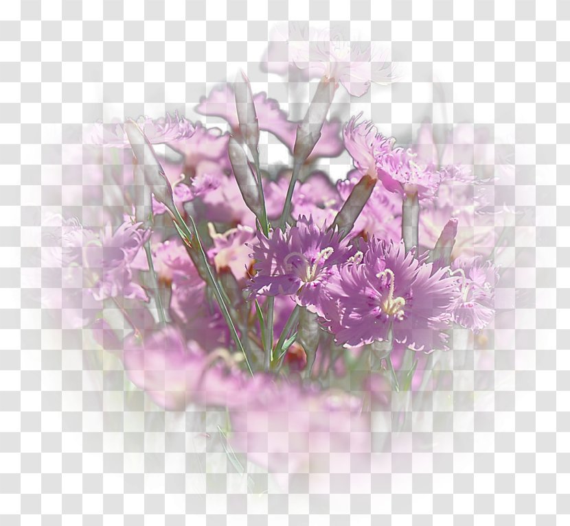 Floral Design Cut Flowers Flower Bouquet Pink M - Arranging Transparent PNG