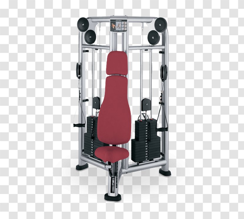 Strength Training Cable Machine Exercise Equipment Life Fitness Row - Cartoon - Frame Transparent PNG