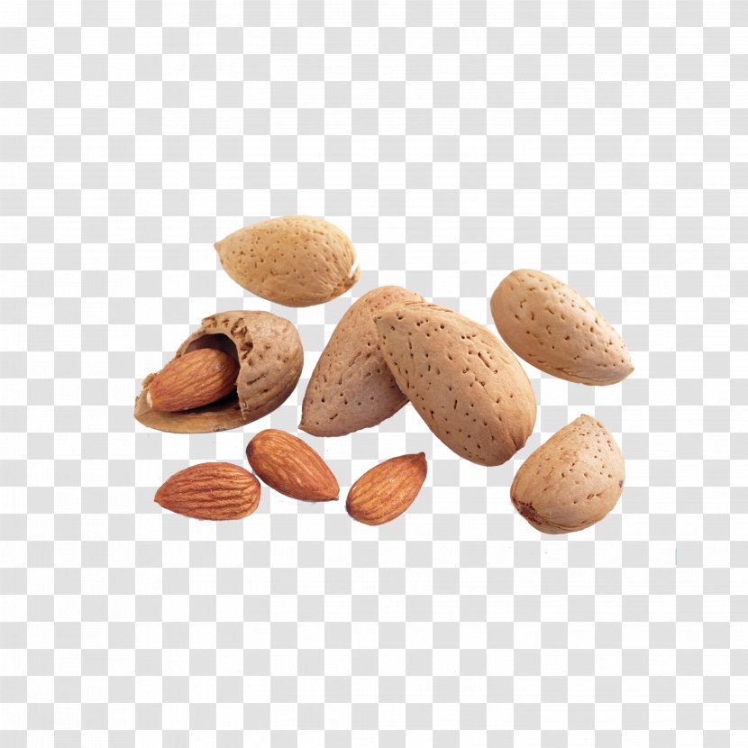 Food Nuts Almond - Seeds Transparent PNG