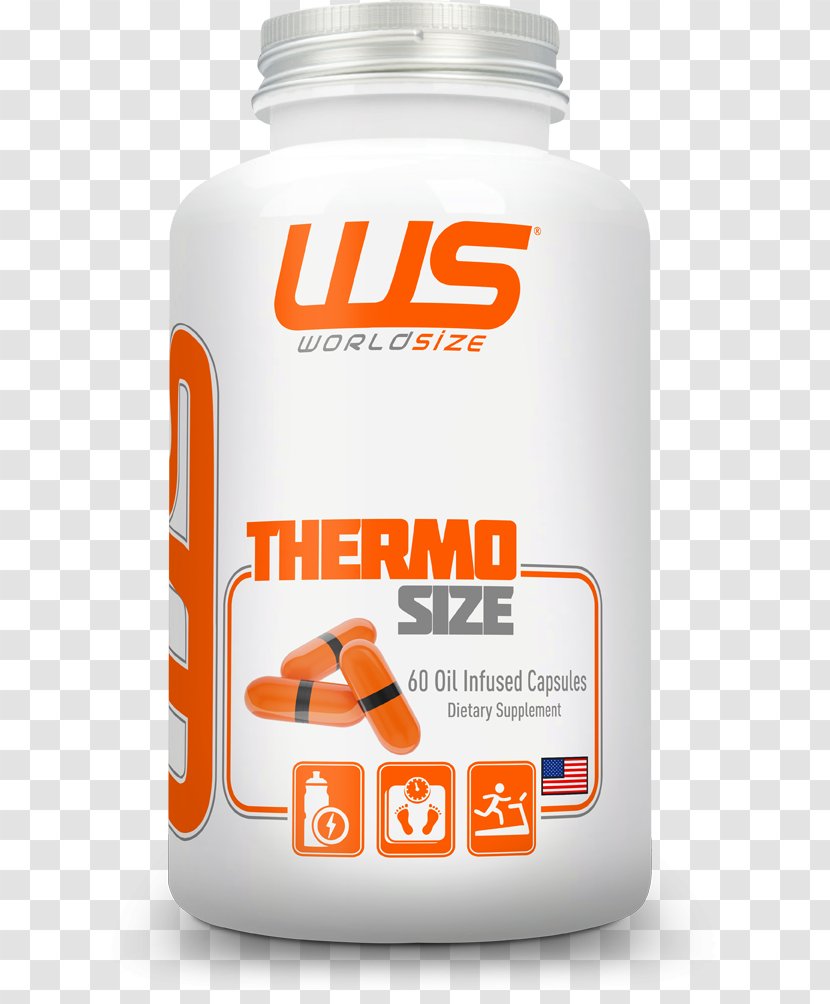 Dietary Supplement Branched-chain Amino Acid Sports Nutrition Whey - Protein - Thermo Transparent PNG