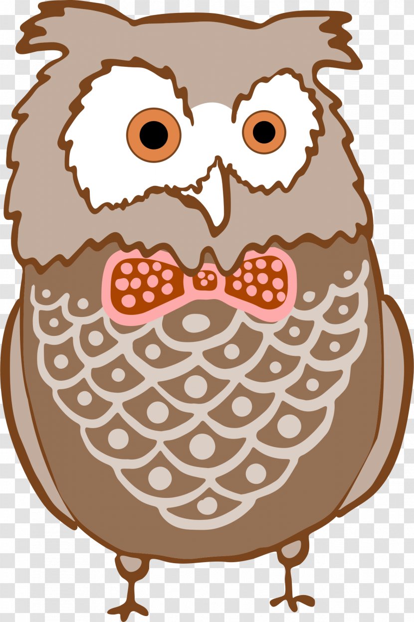 Clip Art Bird Image Barred Owl Cartoon - Get Well Transparent PNG