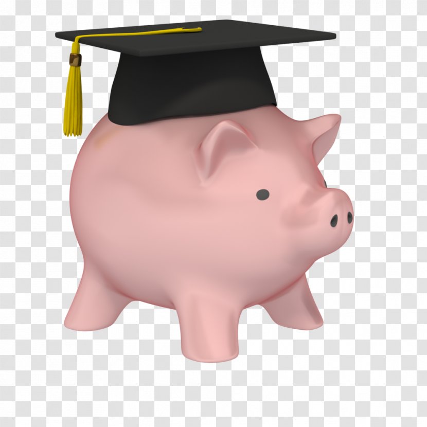 Piggy Bank Graduation Ceremony Money Saving - Snout Transparent PNG