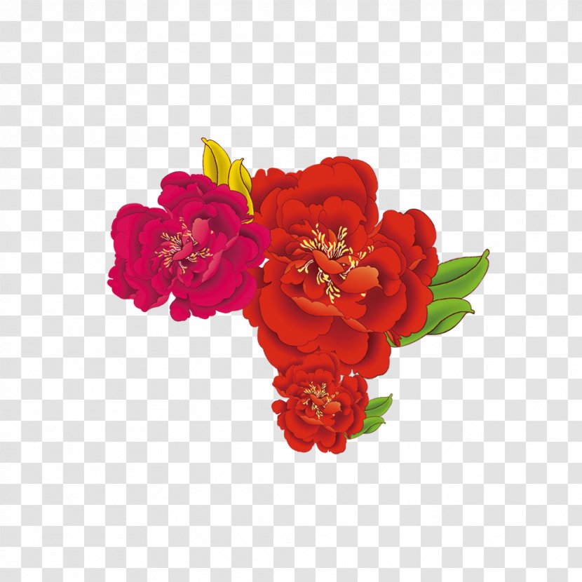 Garden Roses Flower - Arranging - Peony Transparent PNG