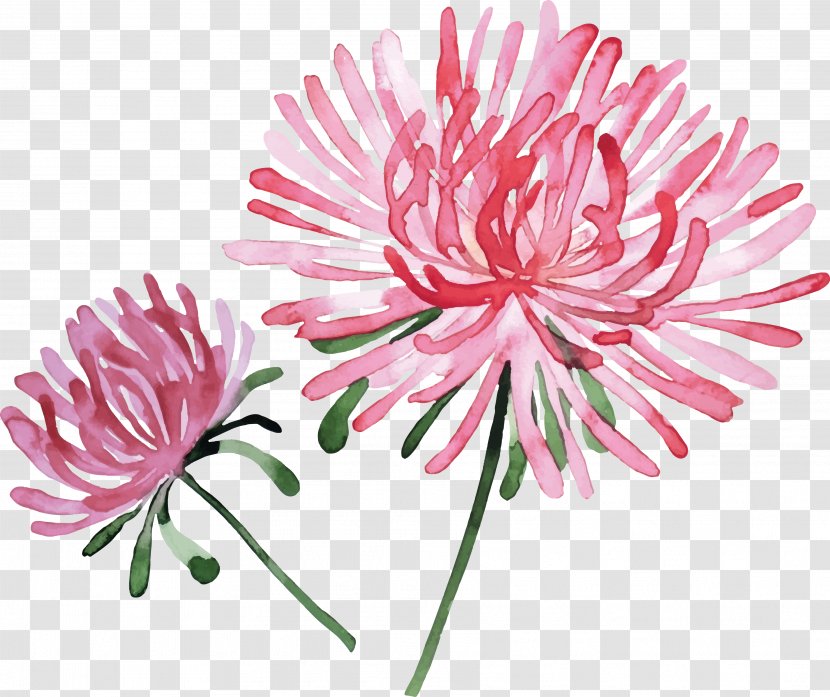 Watercolor Painting Flower Stock Photography - Royaltyfree - Hand-painted Pink Chrysanthemum Transparent PNG