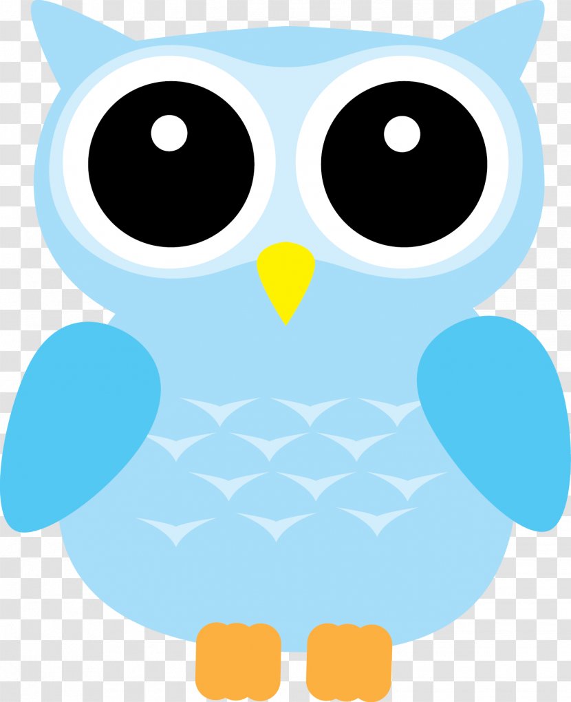 Owl Drawing Clip Art - Beak - Owls Transparent PNG