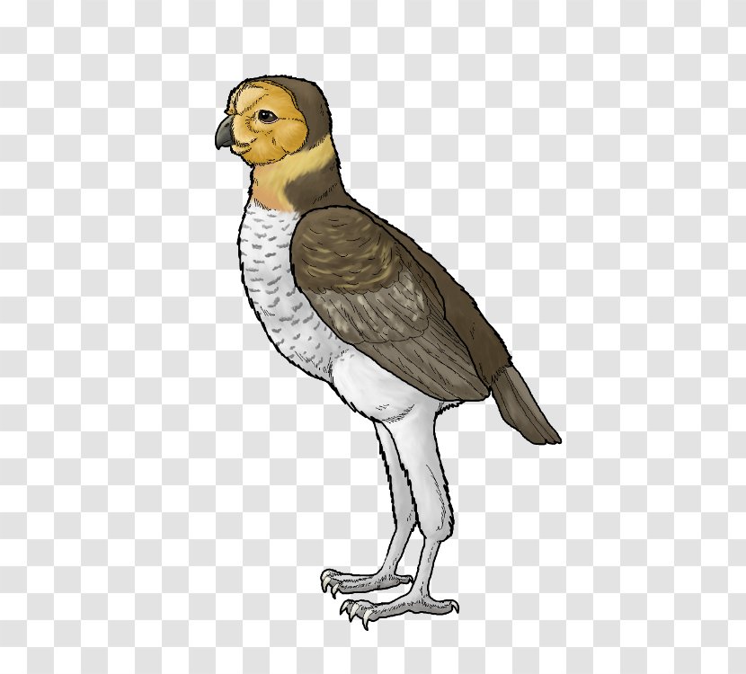 Ornimegalonyx Bird Dinosaur Darwinopterus Modularis Fossil - Cursorial Transparent PNG