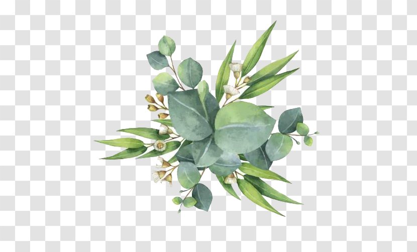 Gum Trees Euclidean Vector Leaf Flower - Plant - Watercolor Green Leaves Transparent PNG