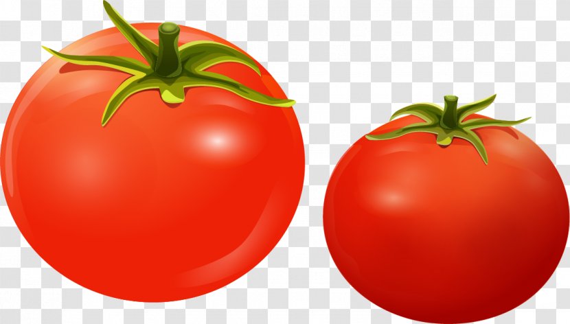 Cherry Tomato Sticker Color - Red - Tomatoes Transparent PNG