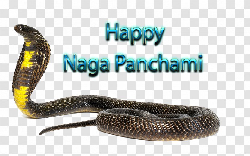Serpent Naga Panchami Rattlesnake Kingsnakes Product - Mamba - Fireworks Hd Transparent PNG