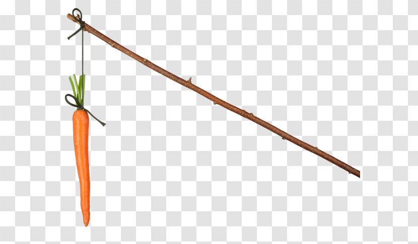 Carrot And Stick Stock Photography Royalty-free Shutterstock - Ranged Weapon - Plant Stem Transparent PNG
