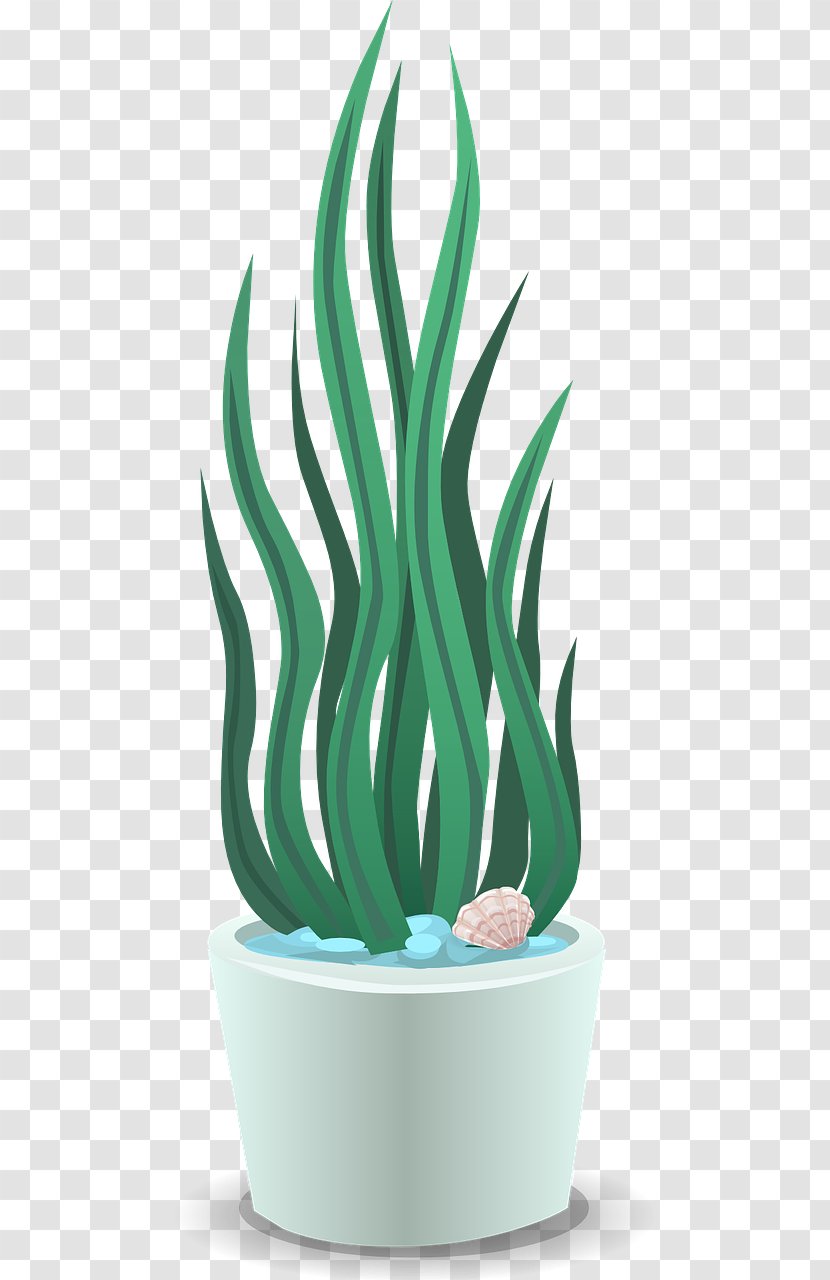 Plant Dehumidifier - Soft Plants Transparent PNG