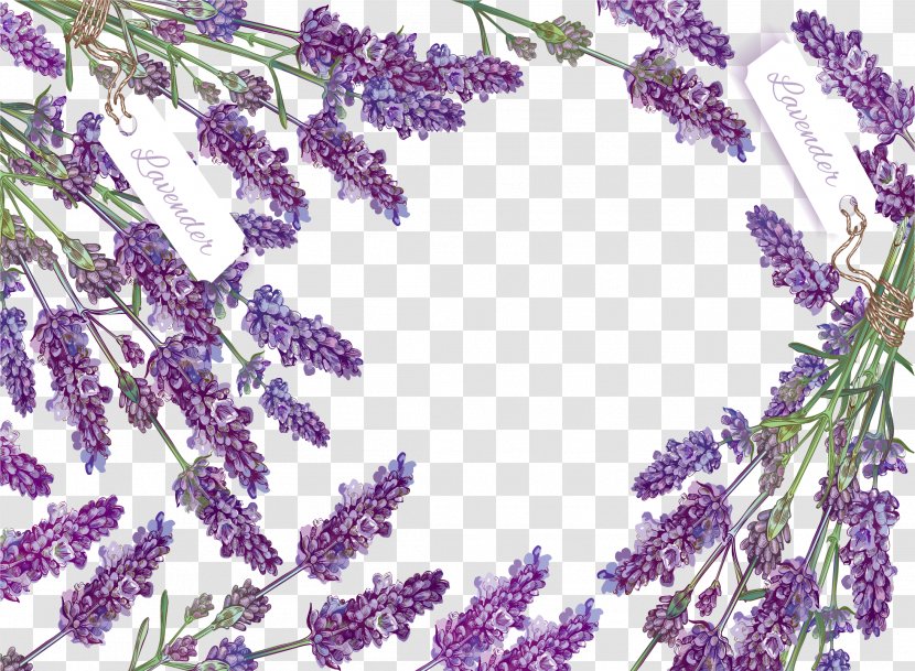 Romantic Lavender Decorative Box - Stock Photography - Lilac Transparent PNG