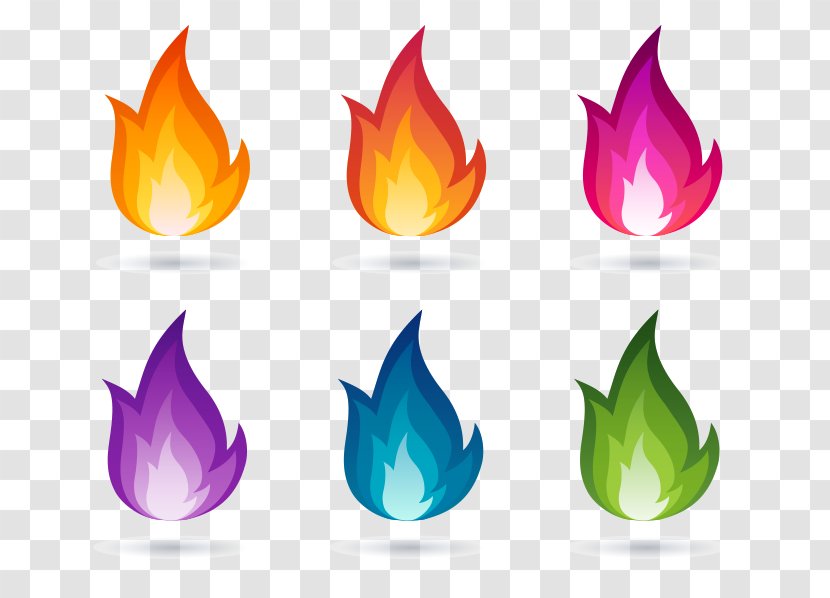 Flame Euclidean Vector Colored Fire Transparent PNG