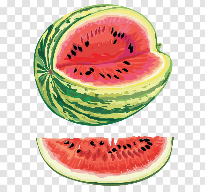 Watermelon Seed Oil Citrullus Lanatus Var. Clip Art - Fruit - Melon Transparent PNG