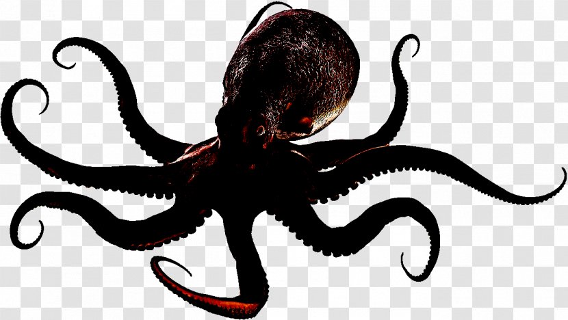 Octopus Giant Pacific Marine Invertebrates Animal Figure - Fictional Character Transparent PNG