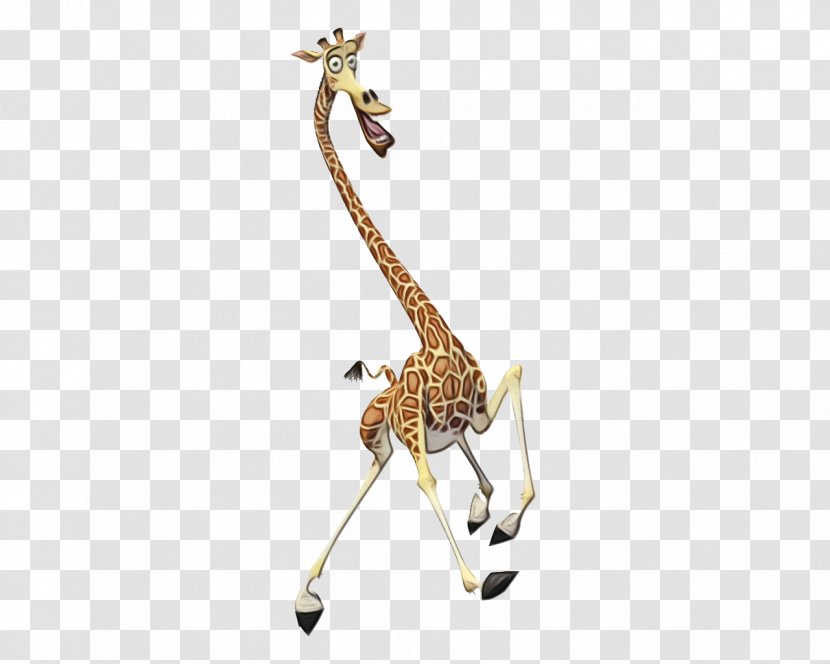 Giraffe Cartoon - Madagascar Escape 2 Africa - Toy Neck Transparent PNG