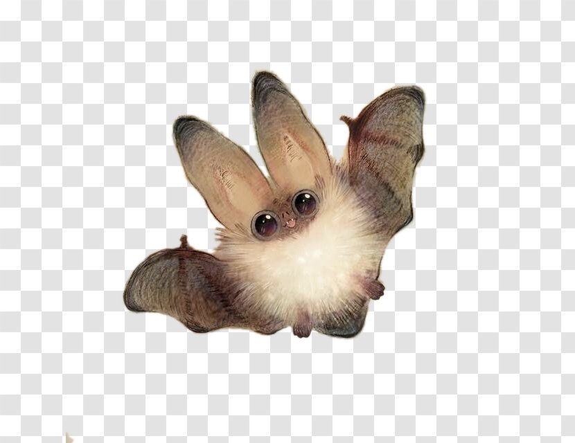 Bat Cuteness Drawing Illustration - Carnivoran - Super Meng Transparent PNG