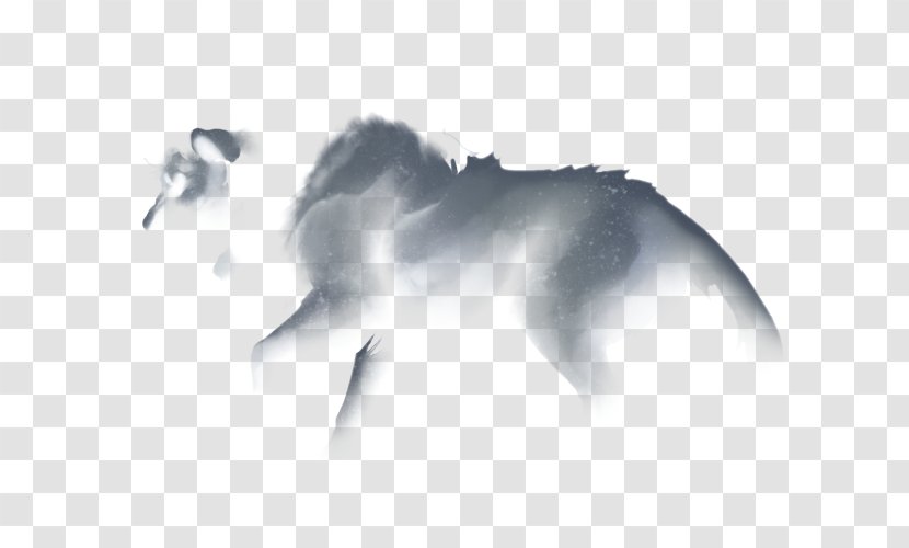 Desktop Wallpaper Snout Computer Animal - Wing - Sunset Lion Transparent PNG