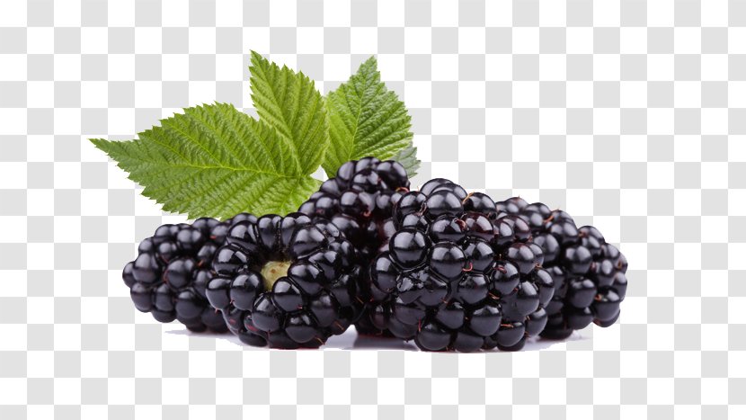 Frutti Di Bosco Black Raspberry Blackberry Fruit - Seed - Raspberries Photos Transparent PNG