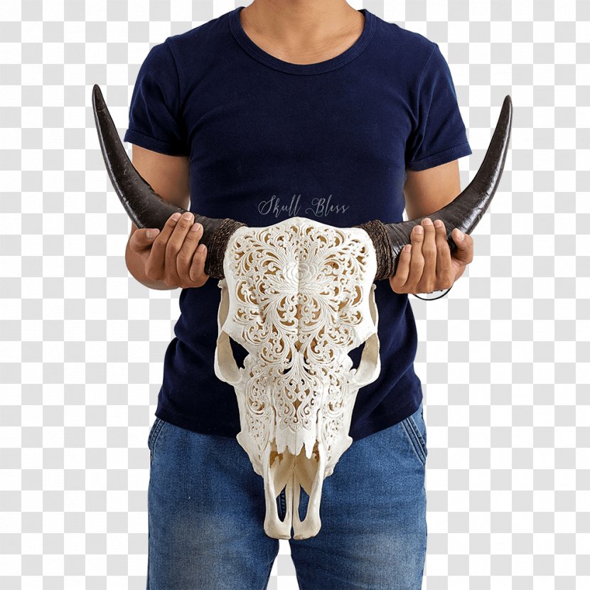 Cattle Horn Skull Bull Goat Transparent PNG