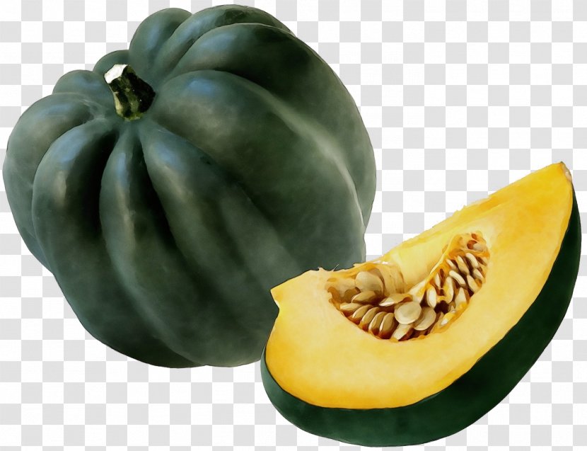Fruit Plant Acorn Squash Food Winter - Paint - Calabaza Vegetable Transparent PNG